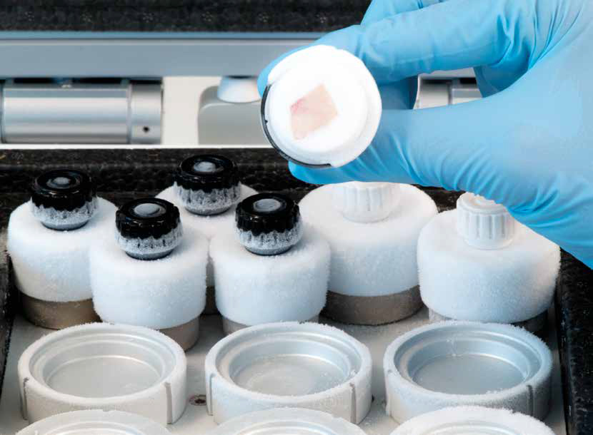 Milestone Medical Live Webinar -Frozen Sections